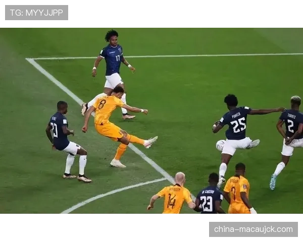 卡塔尔队两战皆负 成为首支提前出局球队